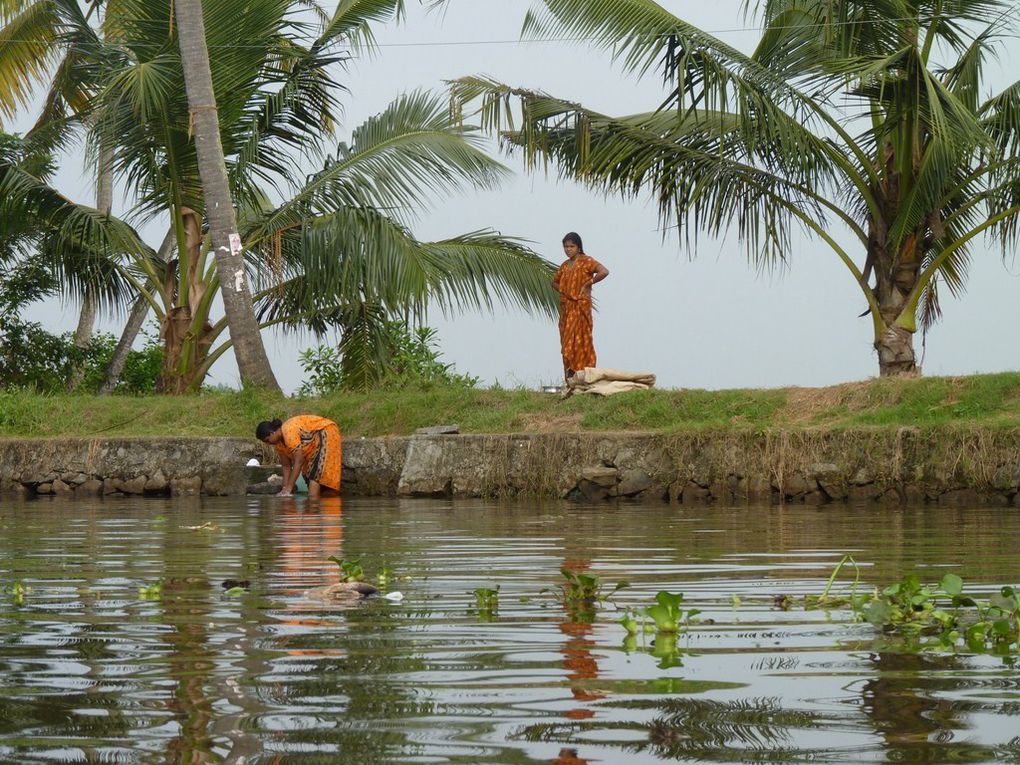 Album - INDIA - Fort Cochin - Alleypey