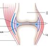 Problème d'Articulations