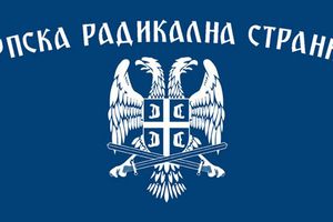 Srpska Radikalna Stranka (SRS)