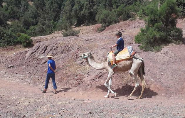 Excursion Marrakech