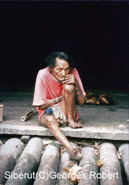 En 1989, j'avais fait un raid de trois semaines en solitaire sur l'île Sibérut en Indonésie. Une rencontre étonnante avec les Sakkudai dont la culture est malheureusement appelée à disparaître...