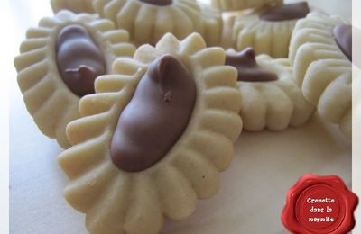 Sablés au chocolat praliné