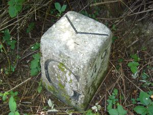 LES BORNES FRANCO-GENEVOISES DE LA COMMUNE DE SAINT-JULIEN