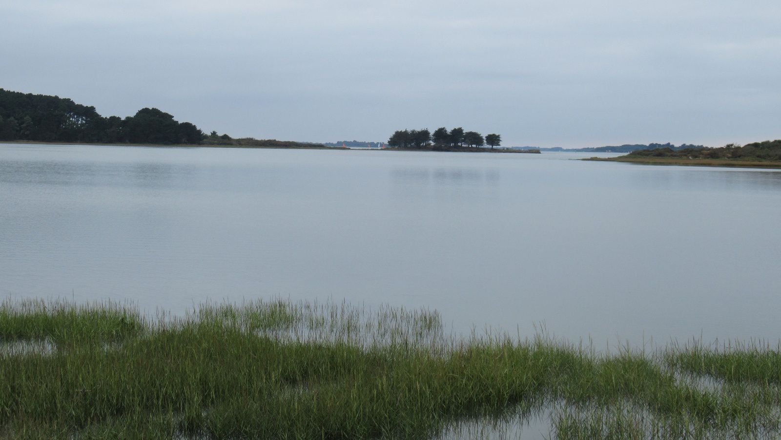 Septembre 2021 : Loire, Ile de Ré, Marais Poitevin, Morbihan