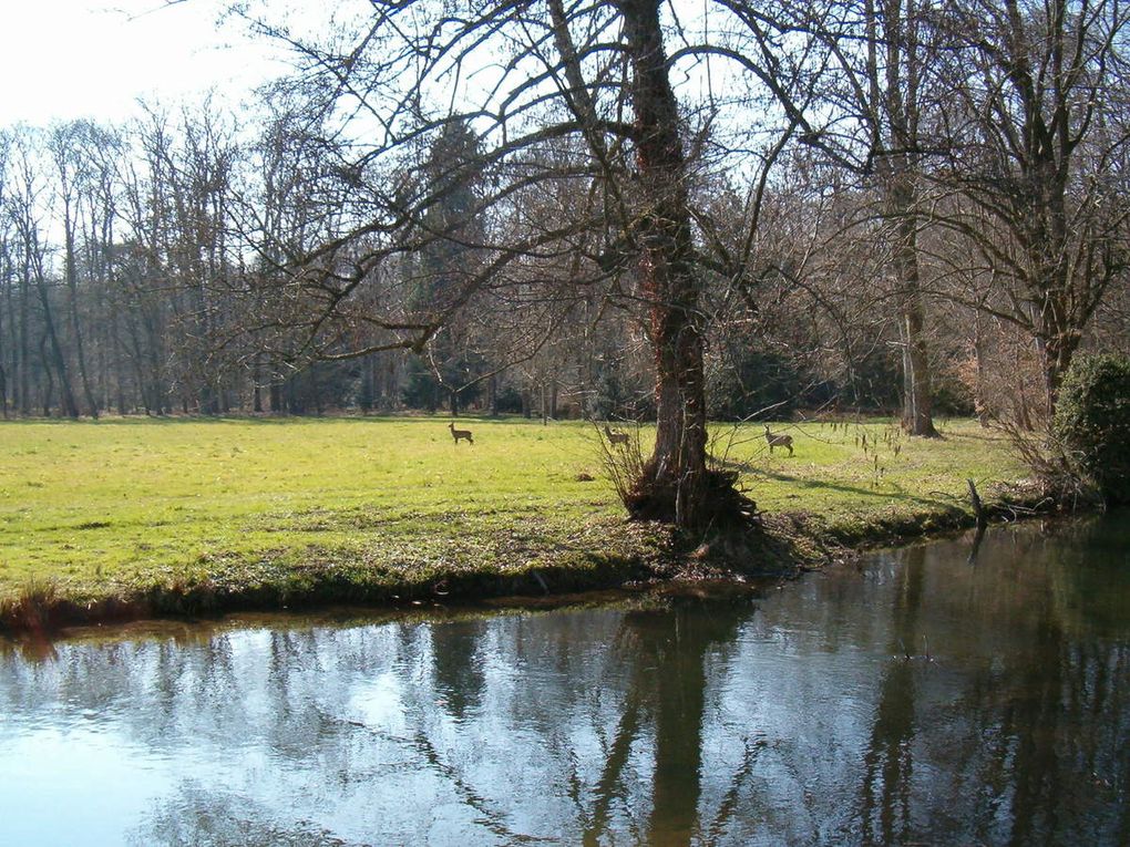 Oui cela se trouve à Kolbsheim