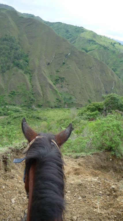 Album - Equateur