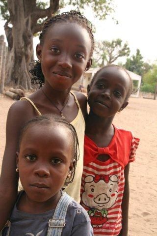 Album - Sine-Saloum-Senegal