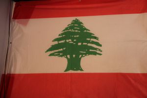Wadina: Ma vallée, le Liban