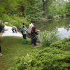 ANIMATION - FETE DES JARDINS