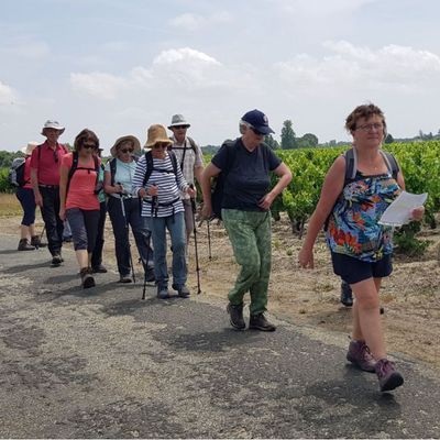 Vertheuil : Rando du jeudi 2025/20