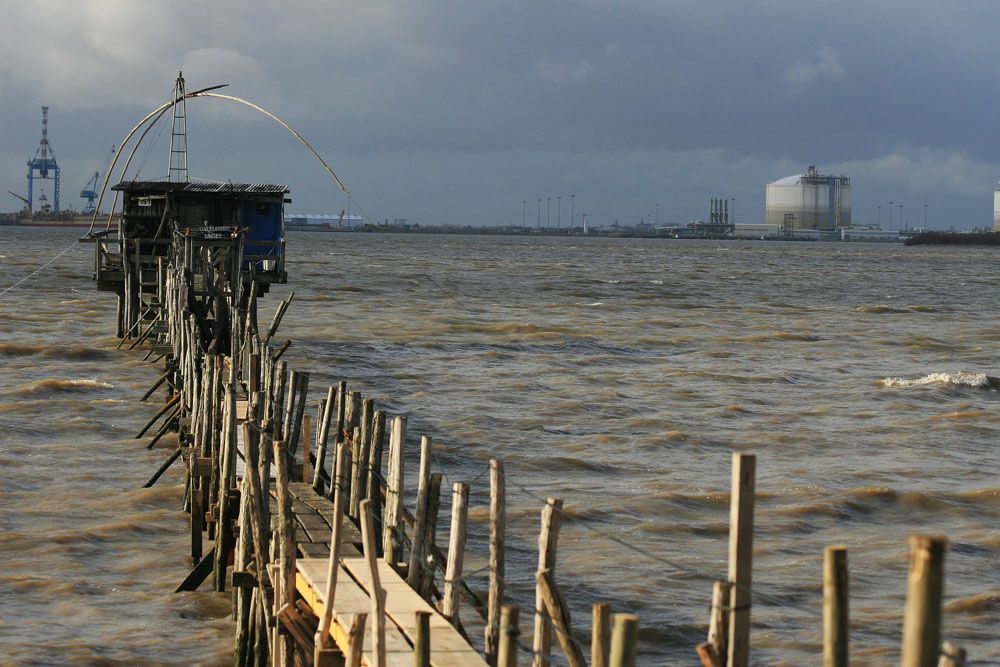 Album - Estuaire de la Loire