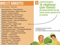 O3 A8 Planter des arbres pour fêter l'Europe