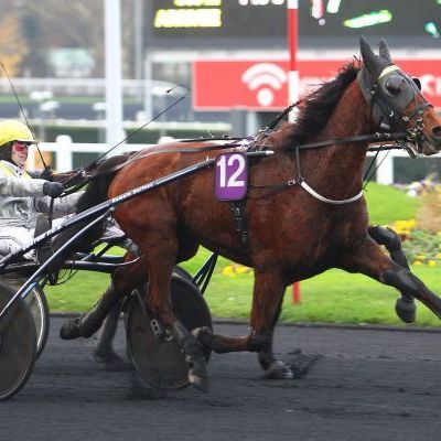 Quinté samedi à Vincennes : Anzi des Liards peut leur résister