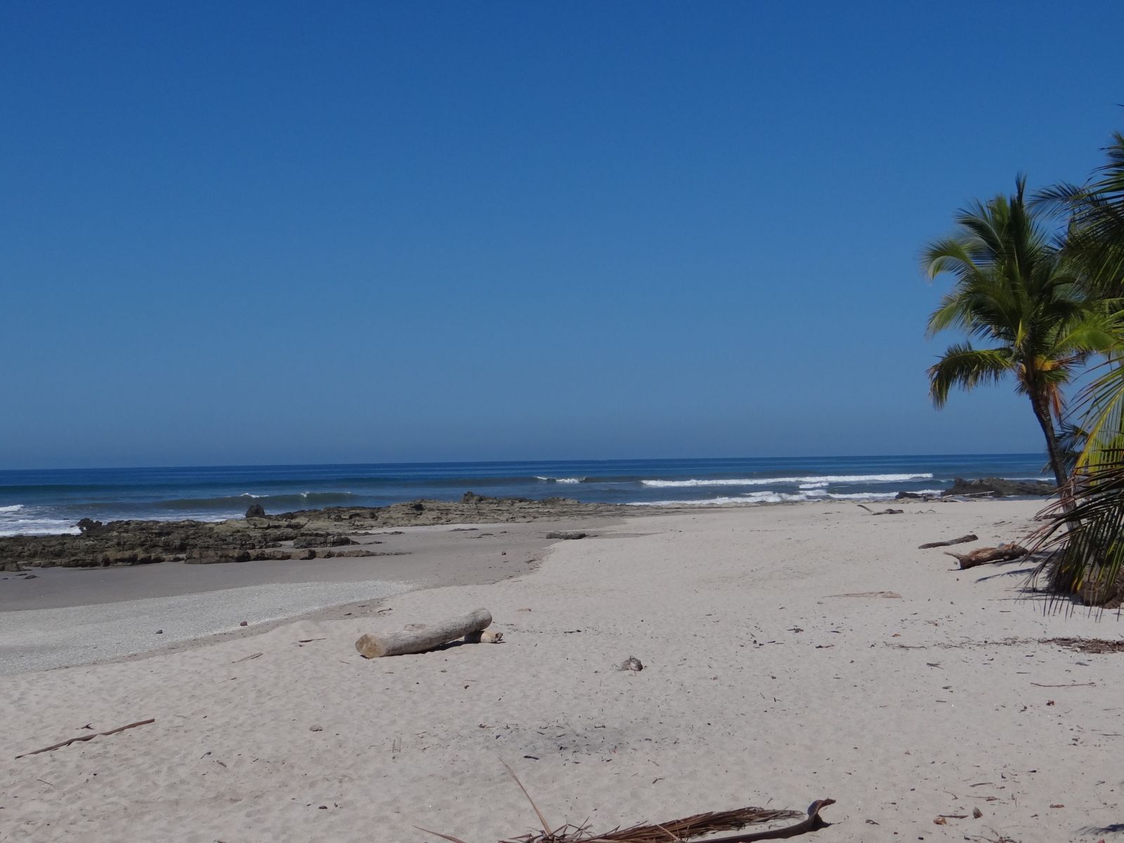 Voyage au Costa Rica. 2ème partie. Santa Élena. Santa Teresa. San Gerardo de Dota. Uvita