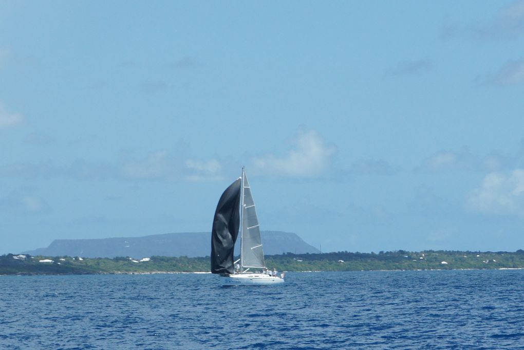 Album - Trophee-Open-Voile-de-St-Francois-2011-3