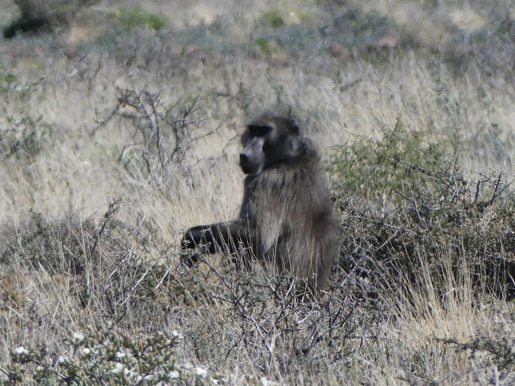 Afrique du Sud du 09/09/2022 au 14/09/2022