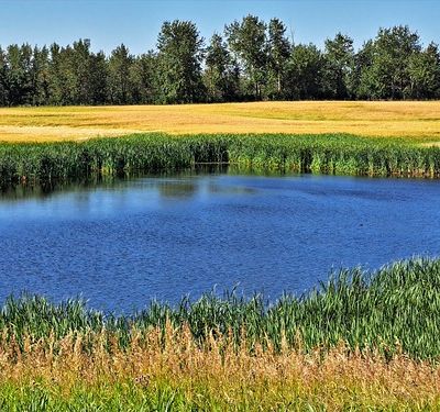 Can 22-J65-66a ... De Nordegg à Drumheller par la Vallée de Red Deer