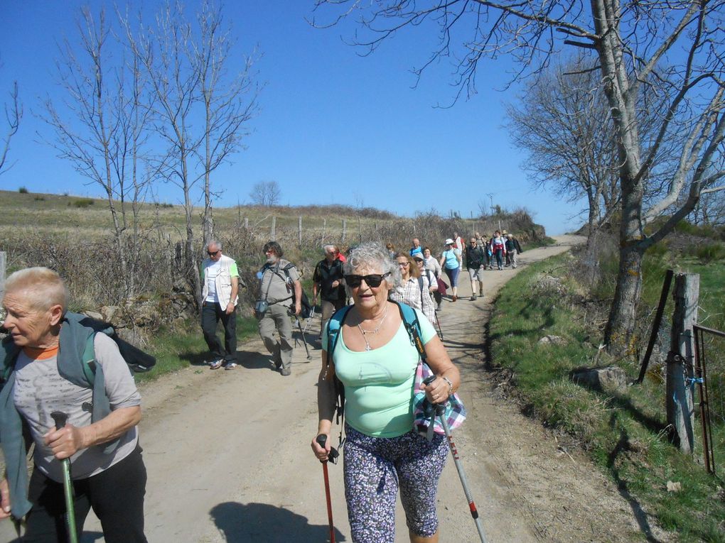 Au départ 30 personnes très motivées pour 13km, avec un temps magnifique et un joli parcours ou l'on rencontre un âne qui a l'air un peu égaré.