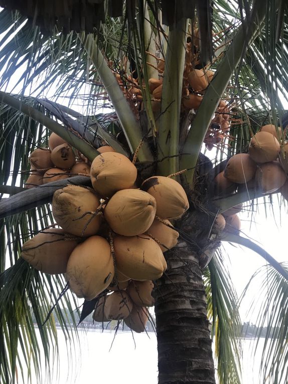 Voyage au Salvador, côté plage...