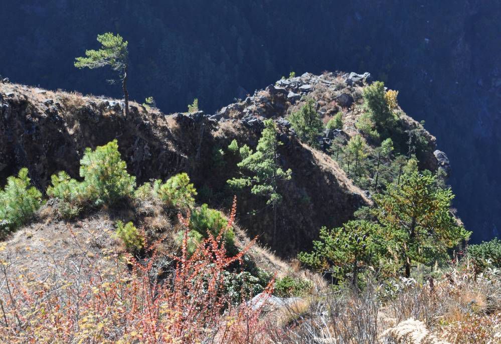 Népal, Khumbu, Kyangjuma