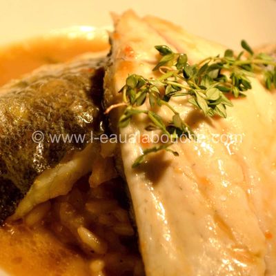 Duo de Bar Et De Daurade Risotto Aux Eclats De Cèpes Et De Noisettes