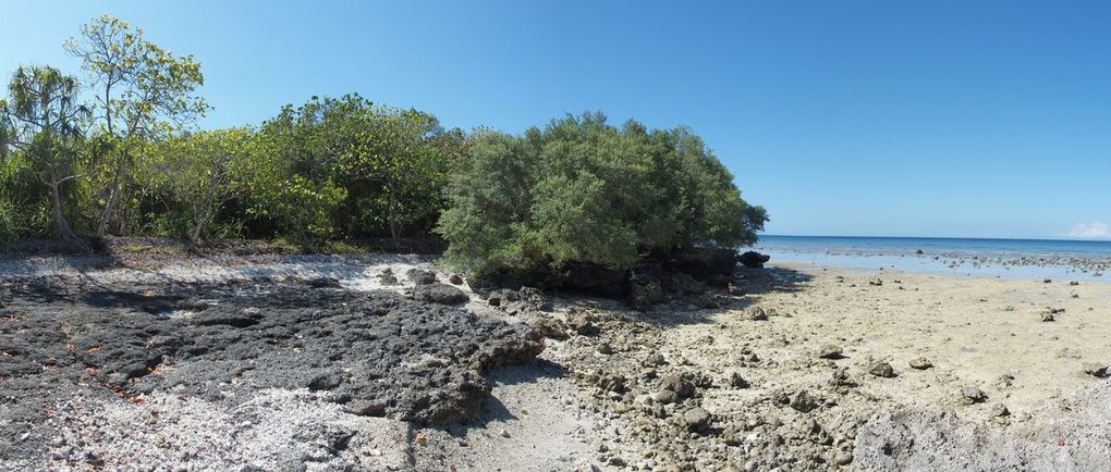 Panay island