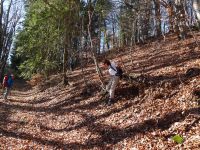 montée vers le Kohlernkopf, puis le Priorfelsen