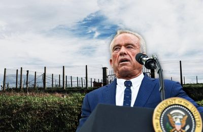La réorganisation de l'alimentation et de l'agriculture proposée par M. Robert F. Kennedy Jr est « fondée sur de maigres preuves scientifiques » qui rendront les aliments moins sains et plus chers