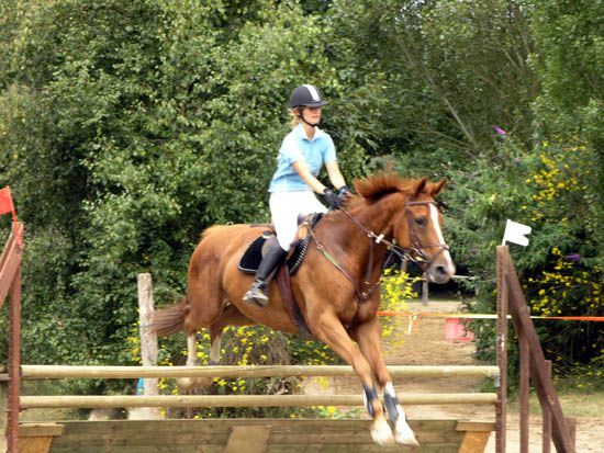 Concours de Saut d'Obstacles