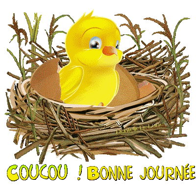 Gif Anime Coucou Bonne Journee Avec Poussin Sortant De L œuf Les Gifs Animes De Dentelledelune