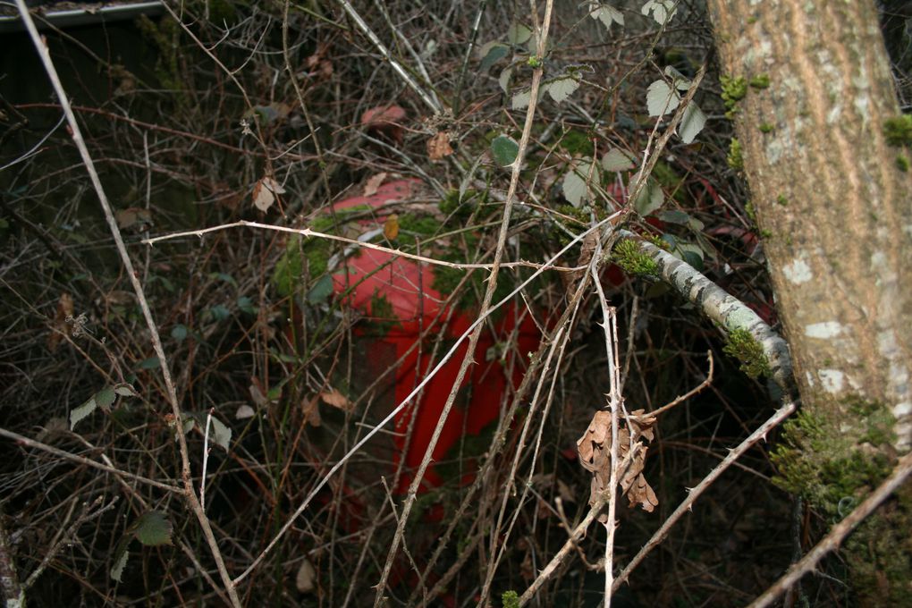 Album - Ancienne Casse auto abandonnee