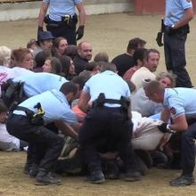 Rion-des-Landes : l'ultra-violence des taurins et de l'Etat français.