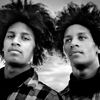 Français célèbres à l'étranger : Les Twins