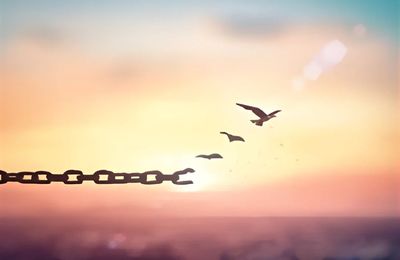 Accompagnement psycho-praticien qu'est ce ?