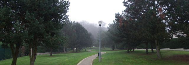 Crépy en Valois : La mairie aurait-elle l'intention de densifier notre ville ?