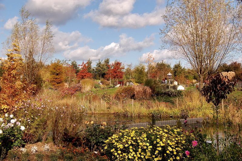 l'automne est si beau ! Au royaume du symbolisme, la saison est rayonnante... Photos TSD