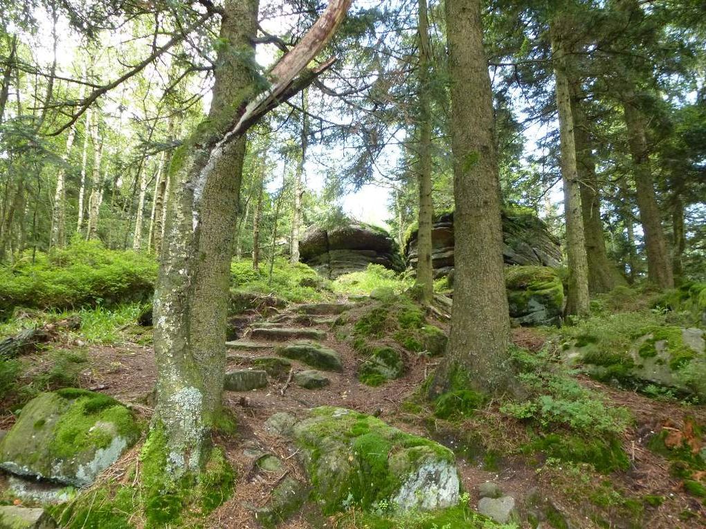 Diaporama : la forêt domaniale (réserve biologique), de l'Urstein ...