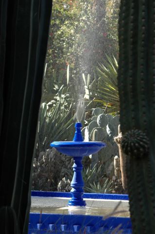 Album - Le-jardin-Majorelle