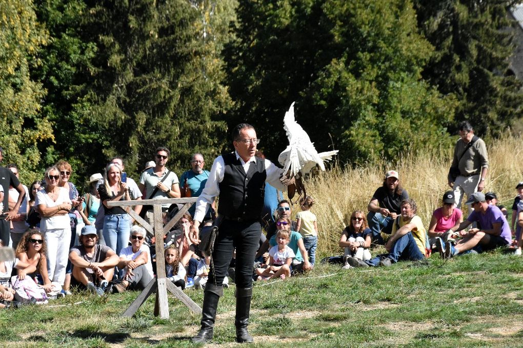 TRANSHUMANCE DANS LES ALPES MARITIMES (2)