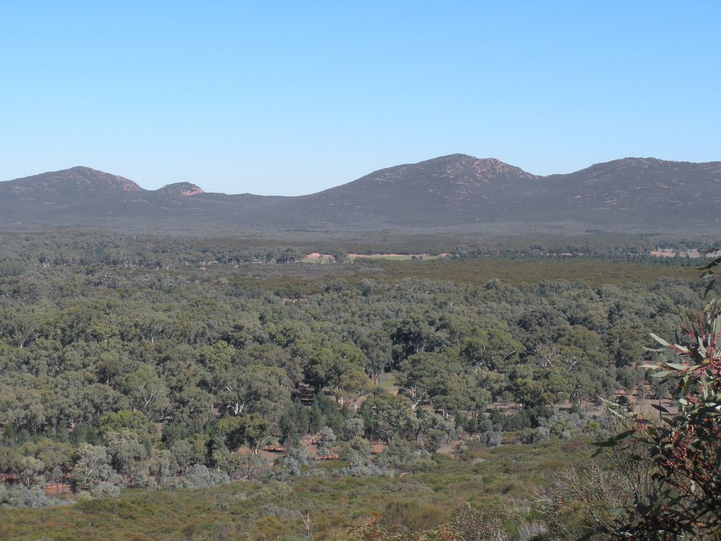 Une journée passée dans les Flinders Ranges, parc naturel de South Australia