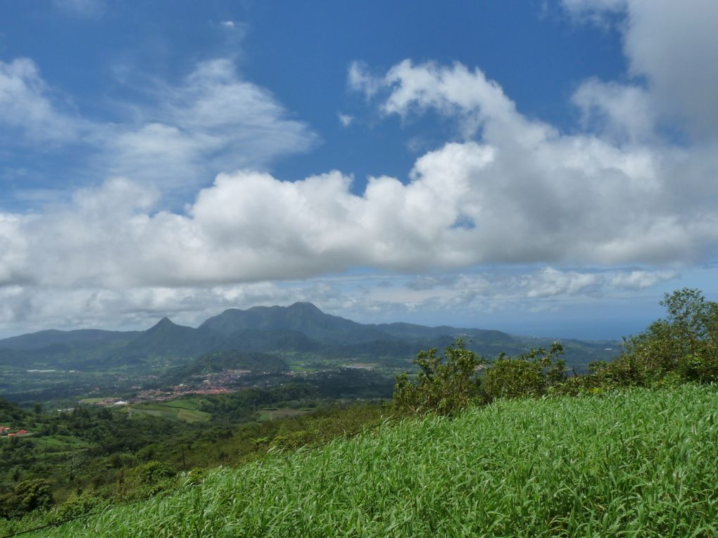 Album - Martinique 2011 - Montagne-Pelee