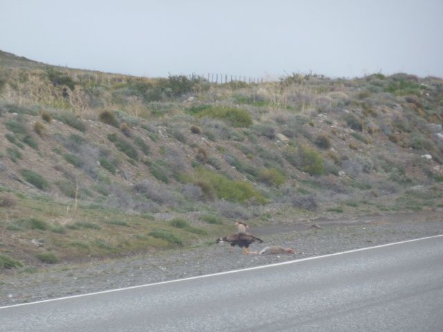 Album - 2012-fa-D-USHUAIA-a-EL-CALAFATE