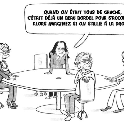 Climat orageux chez les Verts