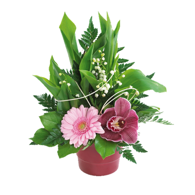 Fleurs - Muguet - Fêtes - 1er mai - Render-Tubes - Gratuit