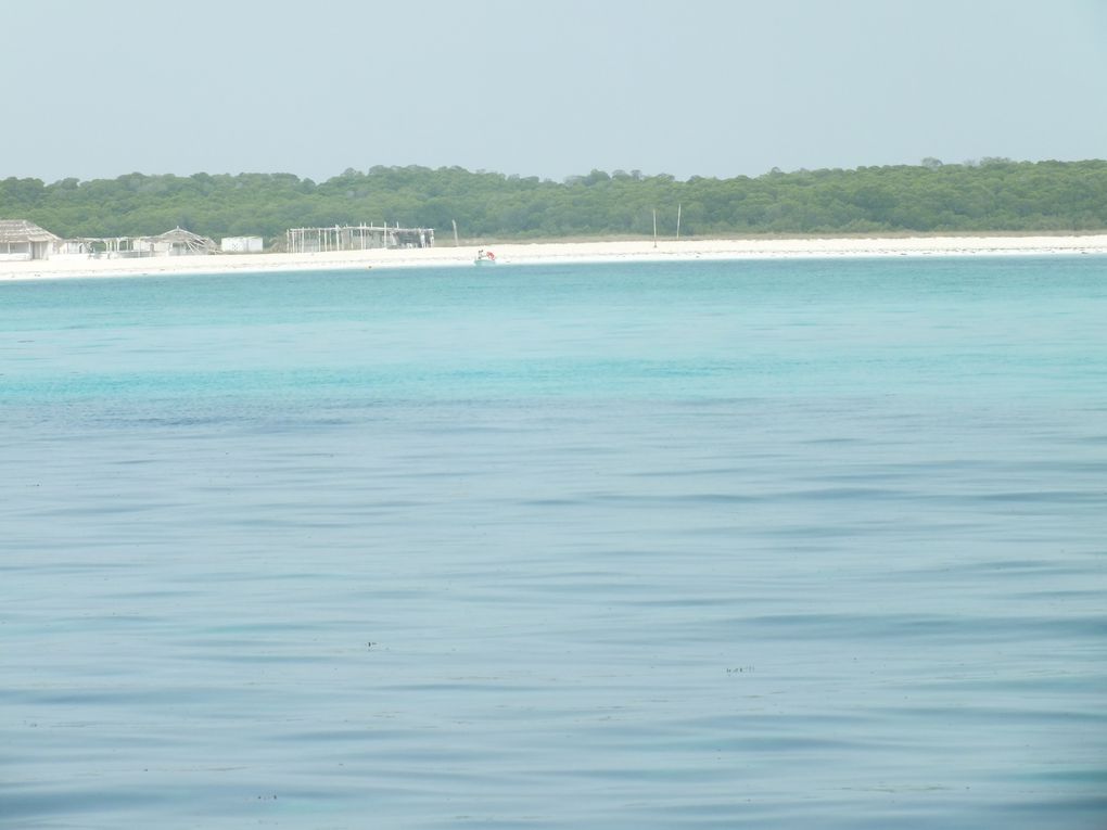 journée de repos sur l'île de Moucha!!! une eau turquoise de pure beautée!