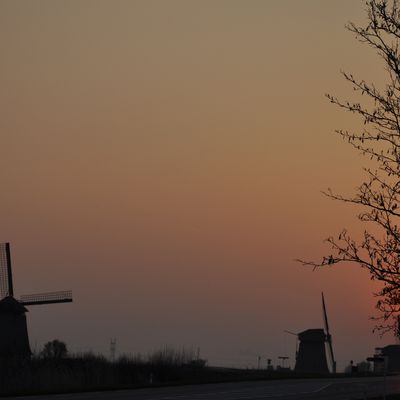 Hollande - Les moulins au coucher du soleil.