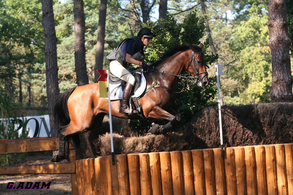 Championnat d'Europe de concours complet d'équitation 2009