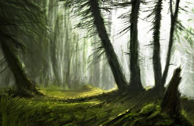 speed paint foret 2