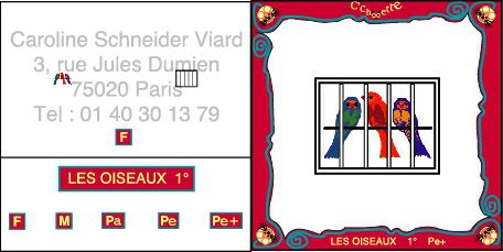 Les mires du 1er degré pour synoptophore existent suivant les modèles dans différentes tailles.
F=fovéolaires 
M=maculaire
Pa=paramaculaire
Pe=périphérique
Elles sont toutes faites en plexi sur une seule plaque