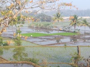 Périple en Inde 14